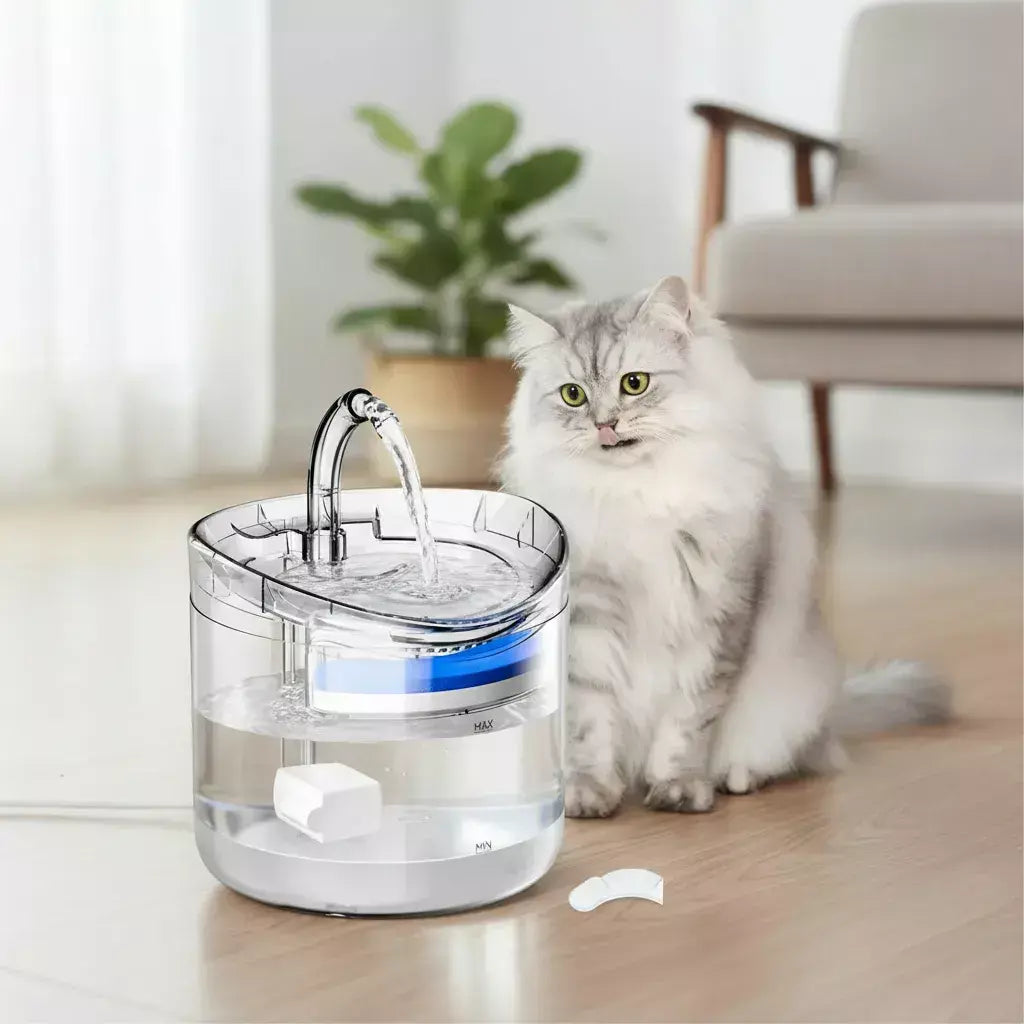 Dispensador Automático de Agua para Mascotas